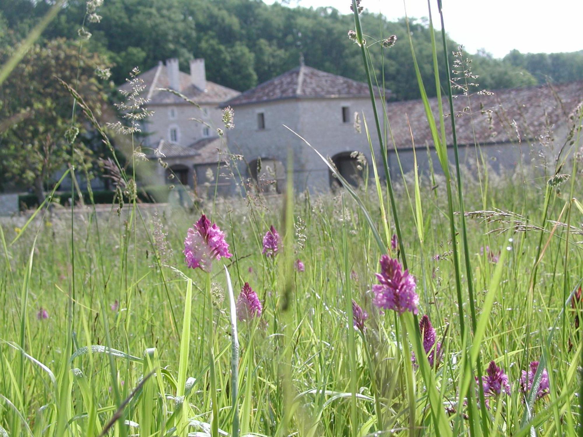 Chateau Lecusse - La Grande Roche - Hotel, Spa, Boutique & Restaurant Broze Exteriör bild